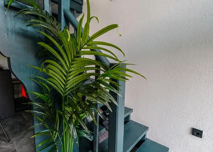 Moonsa Boutique * ספנג'ה